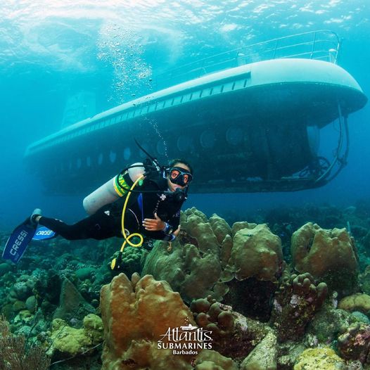 Unveiling Must-Do Activities, Day Trips, and Underwater Submarine Tours
