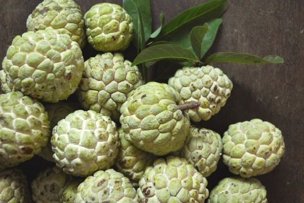 Custard Apples' Erectile Dysfunction Health Benefits