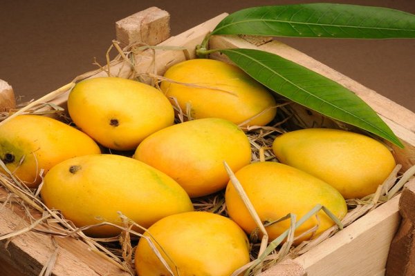 An image of Mango Companies in Pakistan