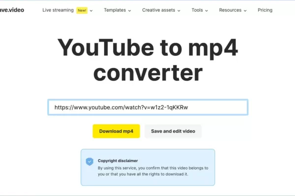 YouTube Downloader MP4