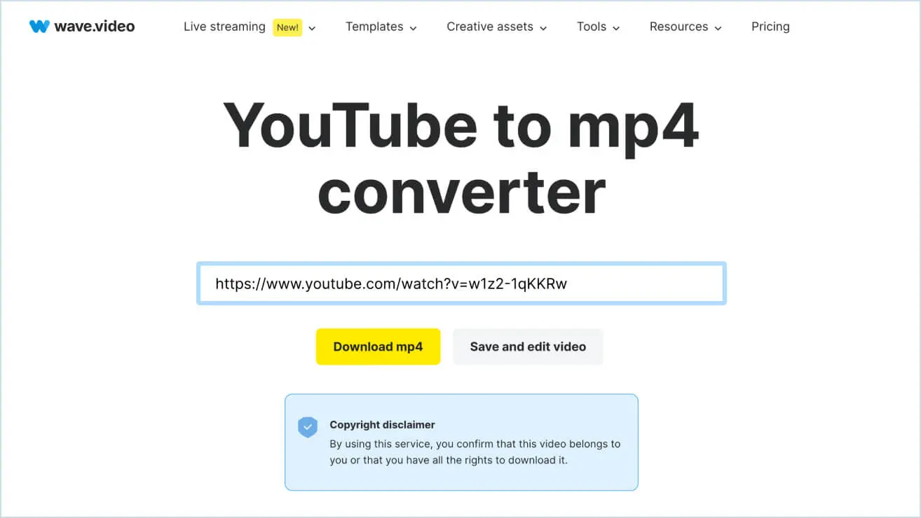 YouTube Downloader MP4