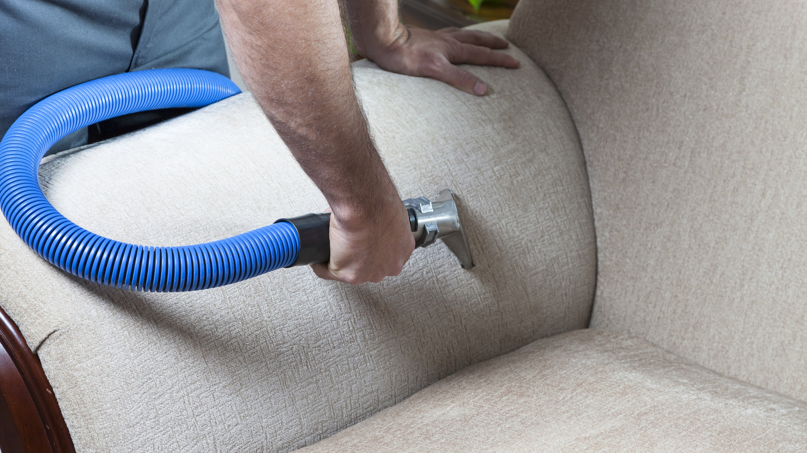 Cleaning Sofa