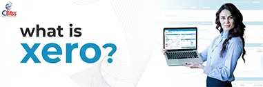 What are the advantages of using Xero?