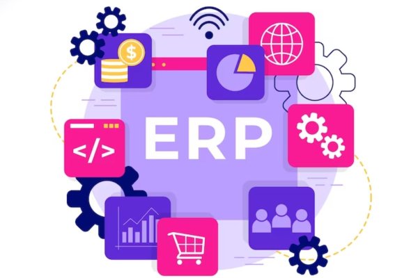 Unveiling the Dynamics: ERP and HRMS Transforming Business Synergy