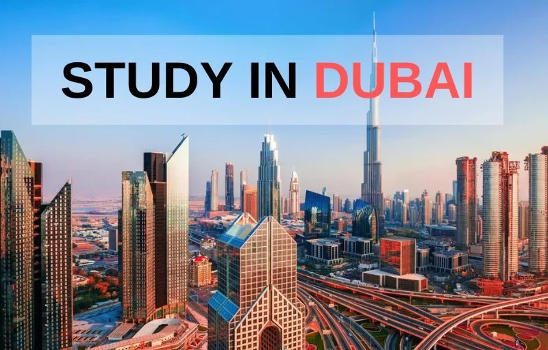 Key Factors For The Survival Of International Students In Dubai