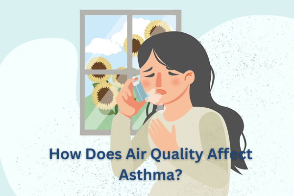 How Does Air Quality Affect Asthma (1)