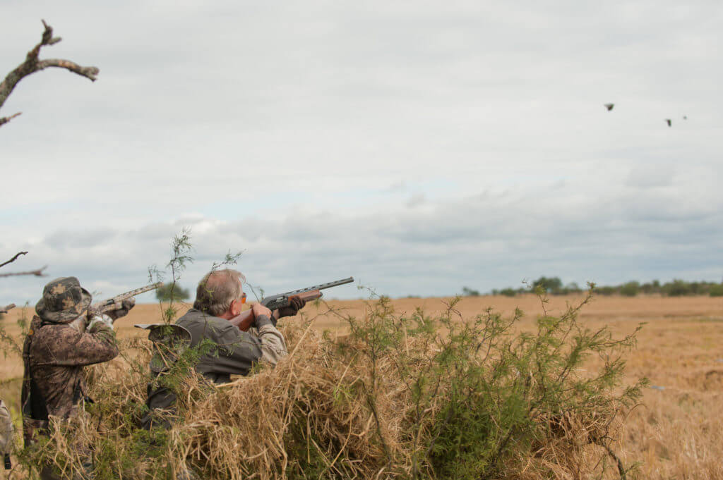 Tips for Maintaining Accuracy During Fast Dove Flights